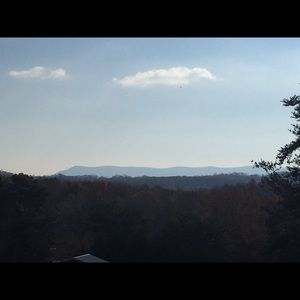 Meet your Posher, Dorianne